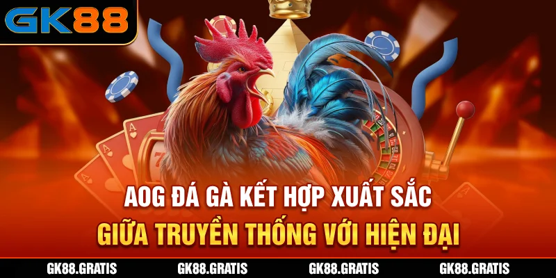 AOG Đá Gà kết hợp xuất sắc giữa truyền thống với hiện đại