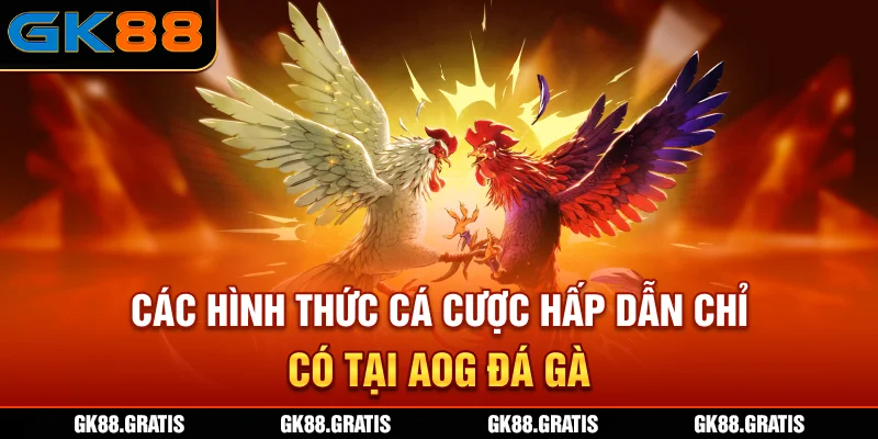 Các hình thức cá cược hấp dẫn chỉ có tại AOG Đá Gà
