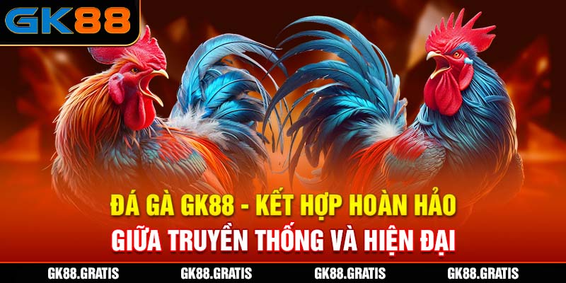 Đá gà GK88 - Kết hợp hoàn hảo giữa truyền thống và hiện đại