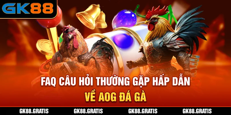 FAQ - Câu hỏi thường gặp hấp dẫn về AOG Đá Gà
