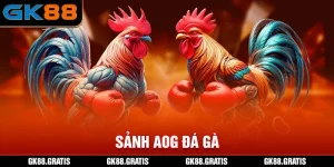 Sảnh AOG Đá Gà