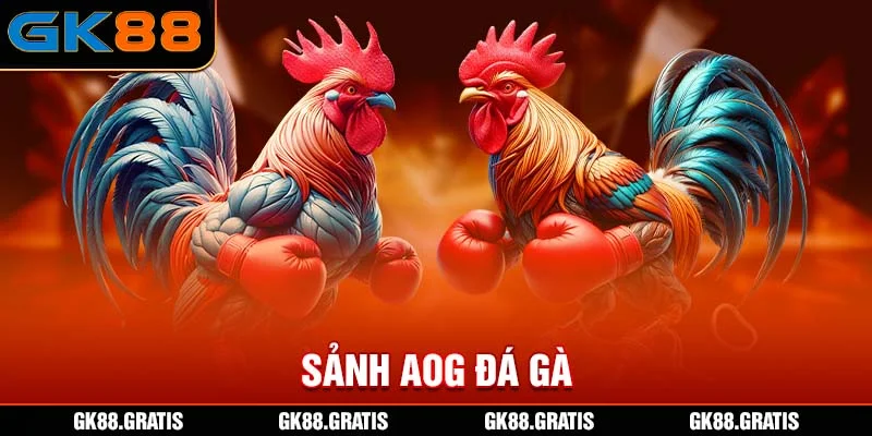 Sảnh AOG Đá Gà