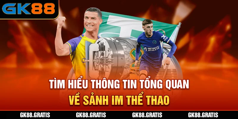 Tìm hiểu thông tin tổng quan về sảnh IM thể thao